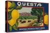 Questa Lemon Label - Corona, CA-Lantern Press-Stretched Canvas