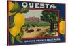 Questa Lemon Label - Corona, CA-Lantern Press-Stretched Canvas