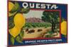 Questa Lemon Label - Corona, CA-Lantern Press-Mounted Art Print