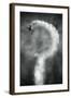 Questions About This Manoeuvre? Anyone? No?-Riekus Reinders-Framed Photographic Print