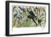 Quetzal, Toucans, and Other Tropical Birds-null-Framed Giclee Print