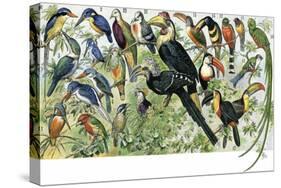 Quetzal, Toucans, and Other Tropical Birds-null-Stretched Canvas