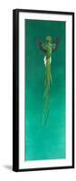 Quetzal-Tim Hayward-Framed Giclee Print