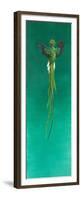 Quetzal-Tim Hayward-Framed Premium Giclee Print