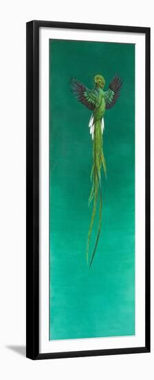 Quetzal-Tim Hayward-Framed Premium Giclee Print