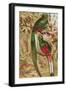 Quetzal-null-Framed Giclee Print