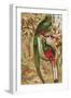Quetzal-null-Framed Giclee Print