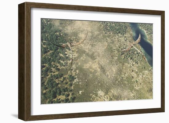 Quetzalcoatlus Flying Above a Herd of Edmontosaurus Dinosaurs-Stocktrek Images-Framed Art Print