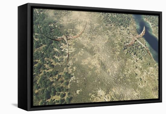 Quetzalcoatlus Flying Above a Herd of Edmontosaurus Dinosaurs-Stocktrek Images-Framed Stretched Canvas