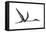 Quetzalcoatlus Predatory Pterosaur-null-Framed Stretched Canvas