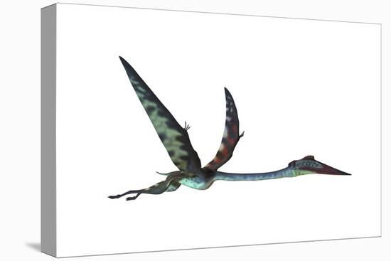 Quetzalcoatlus Predatory Pterosaur-null-Stretched Canvas