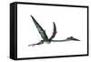 Quetzalcoatlus Predatory Pterosaur-null-Framed Stretched Canvas