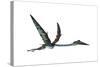 Quetzalcoatlus Predatory Pterosaur-null-Stretched Canvas