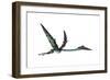 Quetzalcoatlus Predatory Pterosaur-null-Framed Art Print