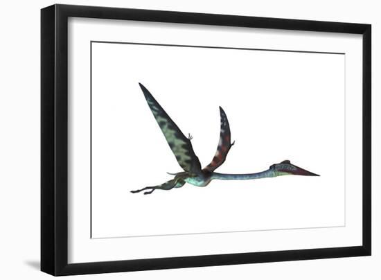 Quetzalcoatlus Predatory Pterosaur-null-Framed Art Print