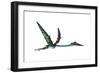 Quetzalcoatlus Predatory Pterosaur-null-Framed Art Print