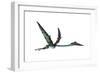 Quetzalcoatlus Predatory Pterosaur-null-Framed Art Print