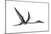 Quetzalcoatlus Predatory Pterosaur-null-Mounted Art Print