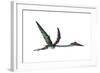 Quetzalcoatlus Predatory Pterosaur-null-Framed Art Print