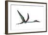 Quetzalcoatlus Predatory Pterosaur-null-Framed Art Print