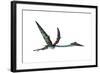 Quetzalcoatlus Predatory Pterosaur-null-Framed Art Print