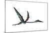 Quetzalcoatlus Predatory Pterosaur-null-Mounted Art Print