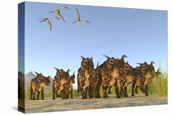 Quetzalcoatlus Reptiles Fly over a Herd of Einiosaurus Dinosaurs-Stocktrek Images-Stretched Canvas