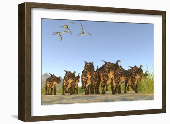 Quetzalcoatlus Reptiles Fly over a Herd of Einiosaurus Dinosaurs-Stocktrek Images-Framed Art Print