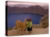 Quichua Indian Child with Llama, Quilatoa Crater Lake, Ecuador-Pete Oxford-Stretched Canvas