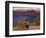 Quichua Indian Child with Llama, Quilatoa Crater Lake, Ecuador-Pete Oxford-Framed Photographic Print