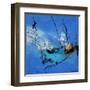 Quick motion-Pol Ledent-Framed Art Print