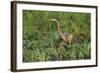 Quiet Approach-Staffan Widstrand-Framed Giclee Print