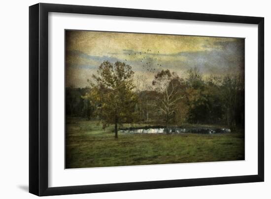 Quiet at the Pond-Jai Johnson-Framed Giclee Print