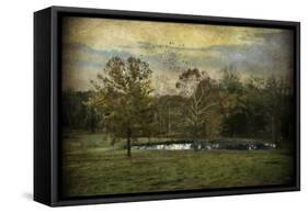 Quiet at the Pond-Jai Johnson-Framed Stretched Canvas