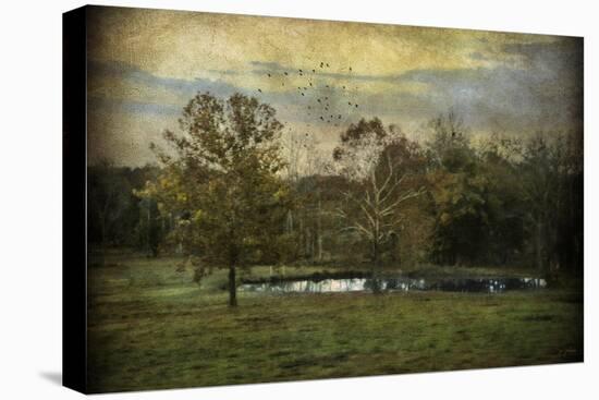 Quiet at the Pond-Jai Johnson-Stretched Canvas