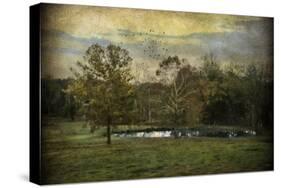 Quiet at the Pond-Jai Johnson-Stretched Canvas