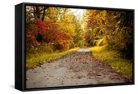 Quiet Autumn Path-Kelly Poynter-Framed Stretched Canvas