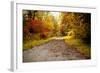 Quiet Autumn Path-Kelly Poynter-Framed Photographic Print