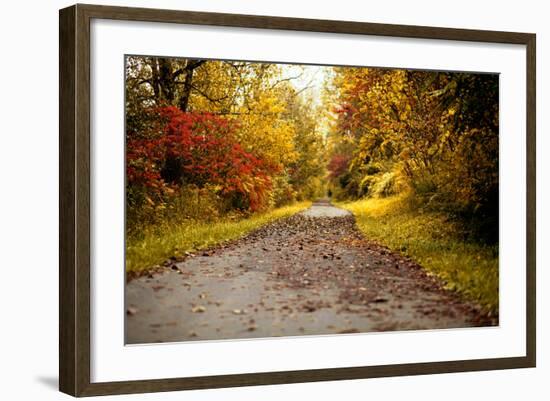 Quiet Autumn Path-Kelly Poynter-Framed Photographic Print