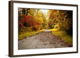 Quiet Autumn Path-Kelly Poynter-Framed Photographic Print