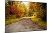 Quiet Autumn Path-Kelly Poynter-Mounted Photographic Print
