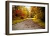 Quiet Autumn Path-Kelly Poynter-Framed Photographic Print