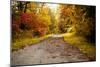 Quiet Autumn Path-Kelly Poynter-Mounted Photographic Print