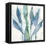 Quiet Beauty I-Samuel Dixon-Framed Stretched Canvas