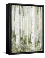 Quiet Beauty-Allison Pearce-Framed Stretched Canvas