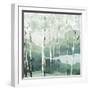 Quiet Birch Forest II-null-Framed Art Print