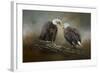 Quiet Conversation Bald Eagles-Jai Johnson-Framed Giclee Print