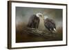 Quiet Conversation Bald Eagles-Jai Johnson-Framed Giclee Print