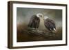 Quiet Conversation Bald Eagles-Jai Johnson-Framed Giclee Print