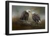 Quiet Conversation Bald Eagles-Jai Johnson-Framed Giclee Print